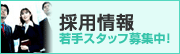 採用情報　若手スタッフ募集中！