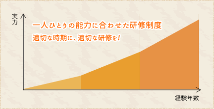  一人ひとりの能力に合わせた研修制度