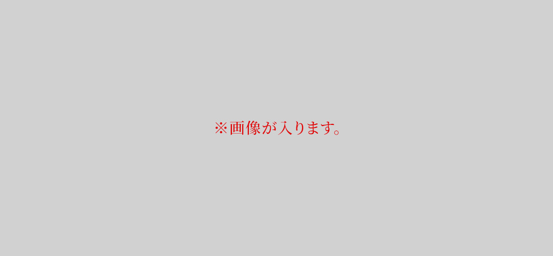 画像がはいります。