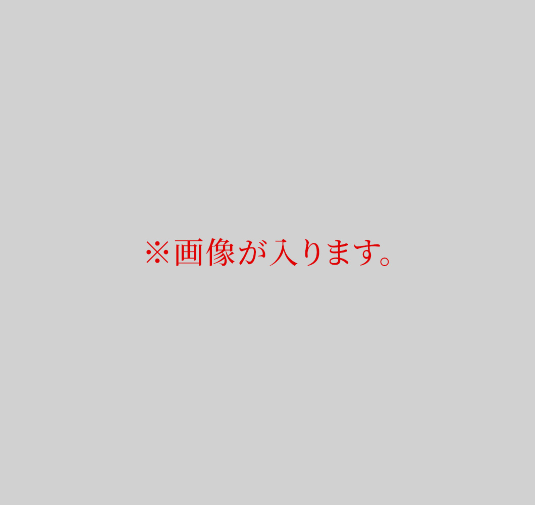 画像がはいります。