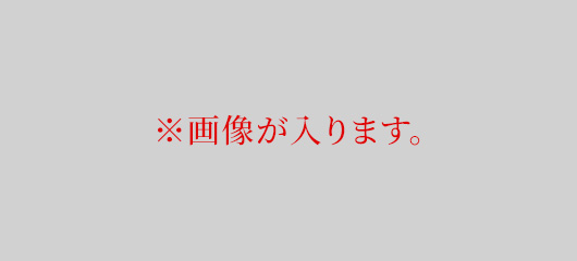 画像がはいります。
