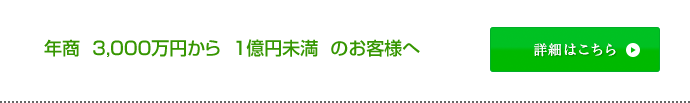 年商  3,000万円から  1億円未満  のお客様へ