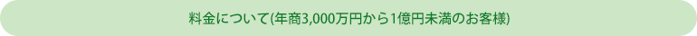 料金　年商3,000万円から年商1億円未満のお客様