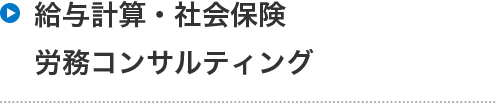 給与計算・社会保険・労務コンサルティング